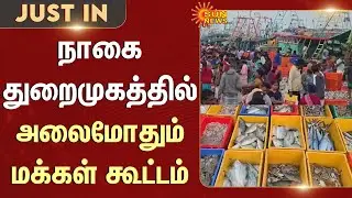 Nagapattinam Port | Fish Market | Mattu Pongal | Sea Food | Sun News