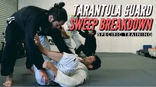 Безумно сильный взмах от Tarantula Guard (удар крест-накрест)