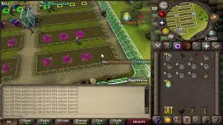 OSRS | SweetBuddy | Farming Need a Herb-sack