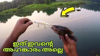 Takugana Rod പൊട്ടി 😑 | അടിപൊളി ചെമ്പല്ലി പിടുത്തം | MANGROVE JACK SNAPPER.. [PSYCHO ANGLER ]