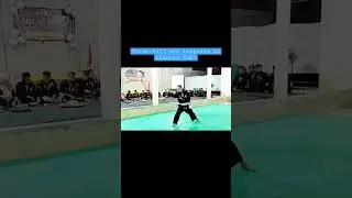 solospel seni silat kreative #psht #solospel #shorts