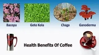The Sisel Kaffe Business Opportunity September 18 Part 2