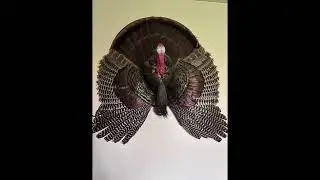 Thaw that turkey!