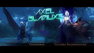 AXEL GLADIUXS VS VALINDRA SHADOWMANTLE & FULMINORAX - NEVERWINTER ONLINE