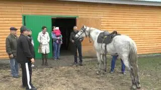 Алькино. Похвистневский район, центр агротуризма 