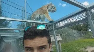 Au Parc Safari
