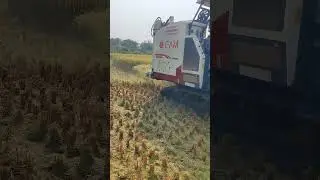 GAM 102 HP with sms cutting #worldstar#harvester #farming