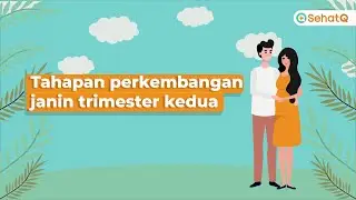 Perkembangan Janin Trimester Kedua