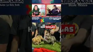 🤷&zwj;♂️Que se Juzga en el STACK OFF⁉️ - Albert Murillo