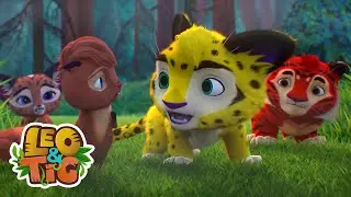 Leo & Tig - Сervo vermelho e mais epis&oacute;dios completos | Desenhos infantil 🐯🦁