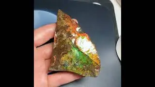 Natural Ammonite Dragon Skin Double Side Ammolite Gemstone #authentic #gemstonelover #ammonite