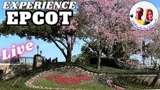 🔴EXPERIENCE WALT DISNEY WORLD LIVE! WITH BARB & NICK FROM EPCOT 2/29/24