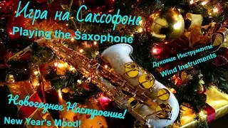 Playing the saxophone. Великолепная игра на саксофоне. Живая, спокойная музыка. Live, calm music.