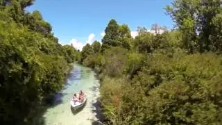What the Nature Coast has to offer!