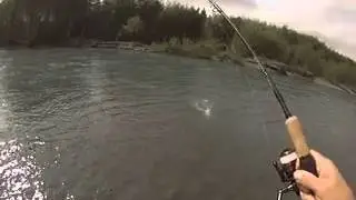 Tail walker BC STEEL