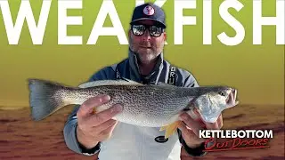 RHODE ISLAND FISHING (Weakfish / Squeteague Fishing | Narragansett Bay)