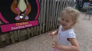 Old MacDonald Farm Crazy Barn Ride, Doggy Dog Roller Coaster, Gigantic Snake Slide Fun.