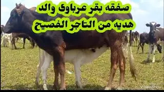التاجر الفصيح حماده الهيتى اشترى صفقه بقر عرباوى من الدهب