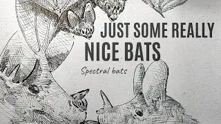 Spectral bats are wholesome cuddle bugs