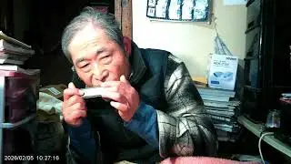 #昔の名前で出ていますBee-Cut #小林旭 #harmonica  #Yanatake-Sadao