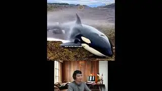 Amazing Animal Growth Journey #animals #funny #cute