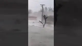 Oh My God Heavy Hail Narang Mandi🙏😲#foryou #snow #viralvideo #snowfall #weather #viralshorts