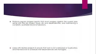 ROLES AND KNOWLEDGE AREAS OF AN IT FROJECT MANAGER