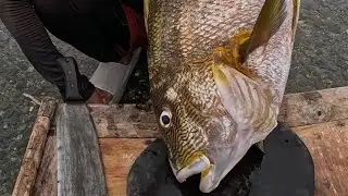 Paksiw sariwang isdang Malapunti sa Tanghalian! 😱