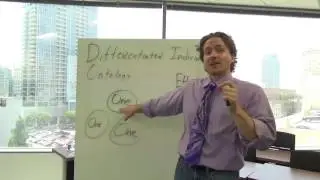 The Differentiated Individual Ontology