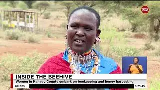 Women in Kajiado embark on beekeeping and honey harvesting