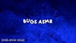 searching bugs under the microscope ASMR no talking 🐛