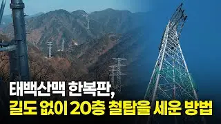 “1시간에 600만원 입니다.” 세상에서 가장 위험하고 비싼 배송의 비밀 | 이건뭐개 EP.05