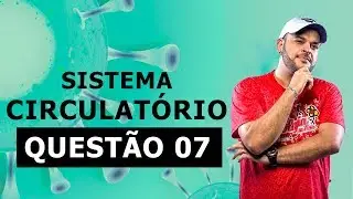 SISTEMA CIRCULATÓRIO – LISTA 22 – QUESTÃO 7