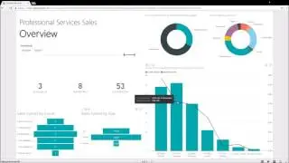 Portal Solutions: Professional Services Power BI Dashboard