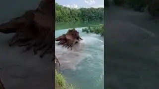 Unbelievable Rope Swing Accident (Wait for the End!) 😮 #viralvideo #accident #epicfail #naturefail