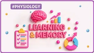 19. Physiology of Learning & Memory 🧠 Types & Neural Circuits | USMLE Step 1 Neurophysiology