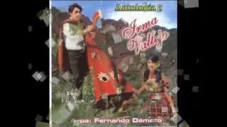 irma vallejo - madre querida (aeroplano)