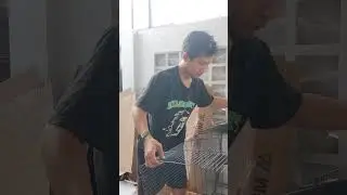 Merakit kandang mini aviary untuk burung finch 