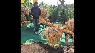 Krishi Expo (Kisan Expo) Sangamner Maharashtra. 