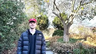 Gardener's Almanac: Indigenous Medicinal Plants - Winter Edition