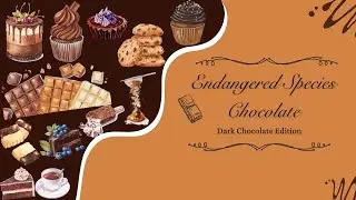 Endangered Species Dark Chocolate Bars