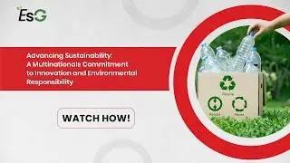 How a Global Company Leads in Innovation & Sustainability | ESG Investing | Green Business | NIMF