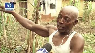 How Best Can Nigeria Achieve Rural Development Pt.1 |Big Story|