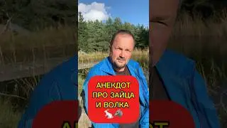 #88. АНЕКДОТ 🐇🐺 ПРО ЗАЙЦА И ВОЛКА  #humor