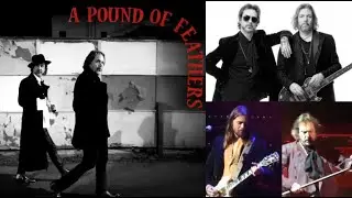 THE BLACK CROWES new album 