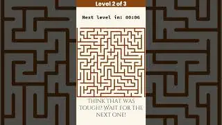 Can You Solve These 3 Maze Puzzles? 🧠 Quick Brain Challenge!