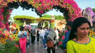 4k DUBAI MIRACLE GARDEN