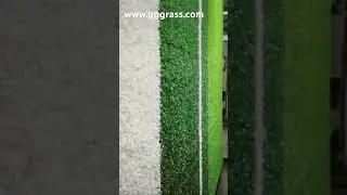 Looking for premium turf?