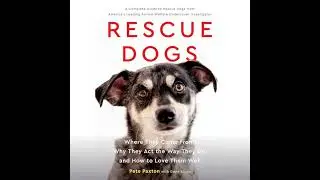 Rescue Dogs: Where They Come From, Why They Act the Way They Do, and How to Love Them Well