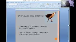 Critically endangered endemic birds in Ethiopia: Liben Lark and White-winged Flufftail